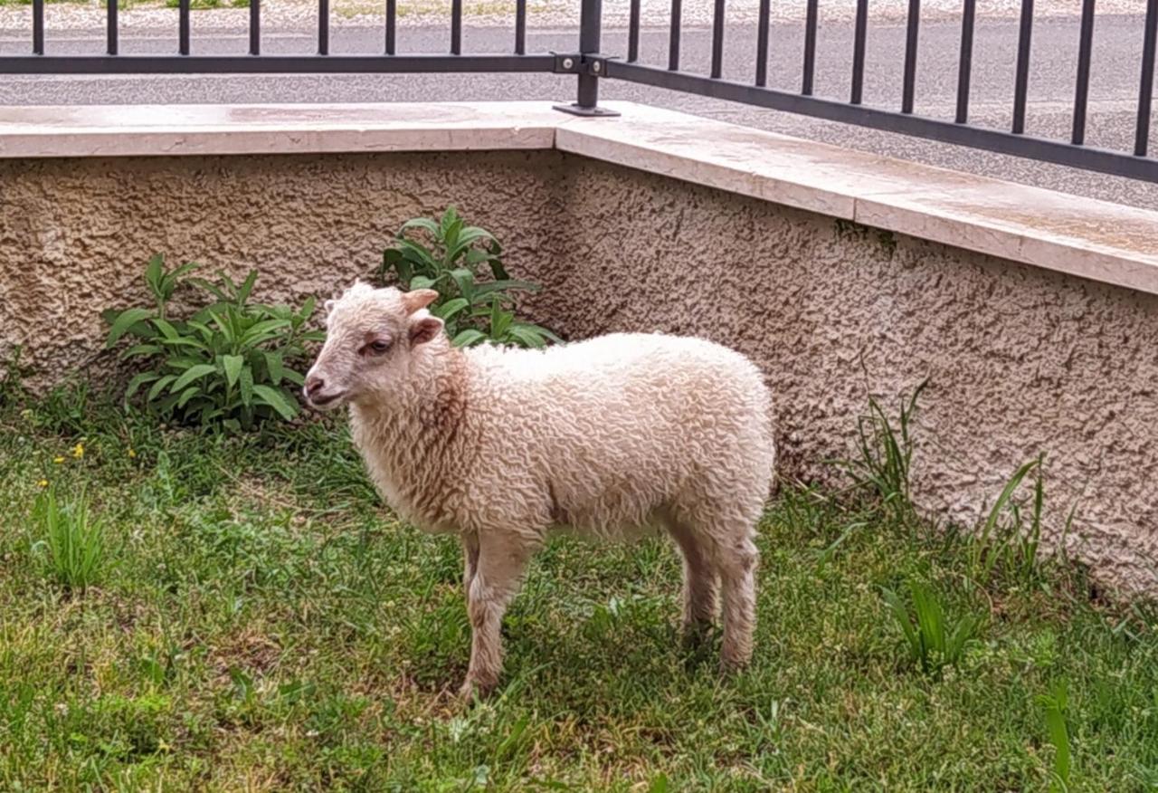Appartamento La casa di Nello Pedemonte Esterno foto